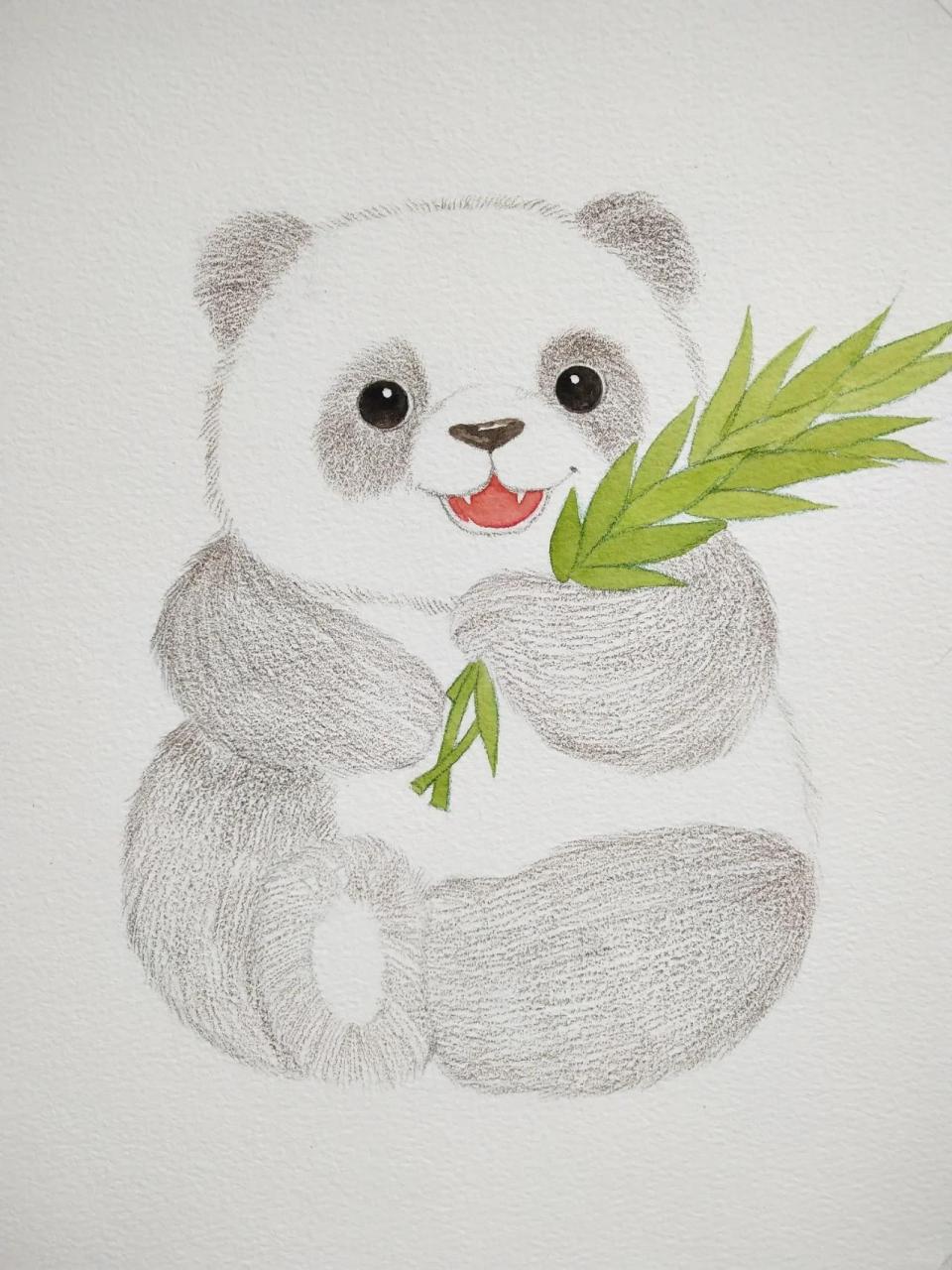 照着买来的彩铅书临摹的,不过大熊猫眼睛鼻子嘴巴还有竹子我用了水彩