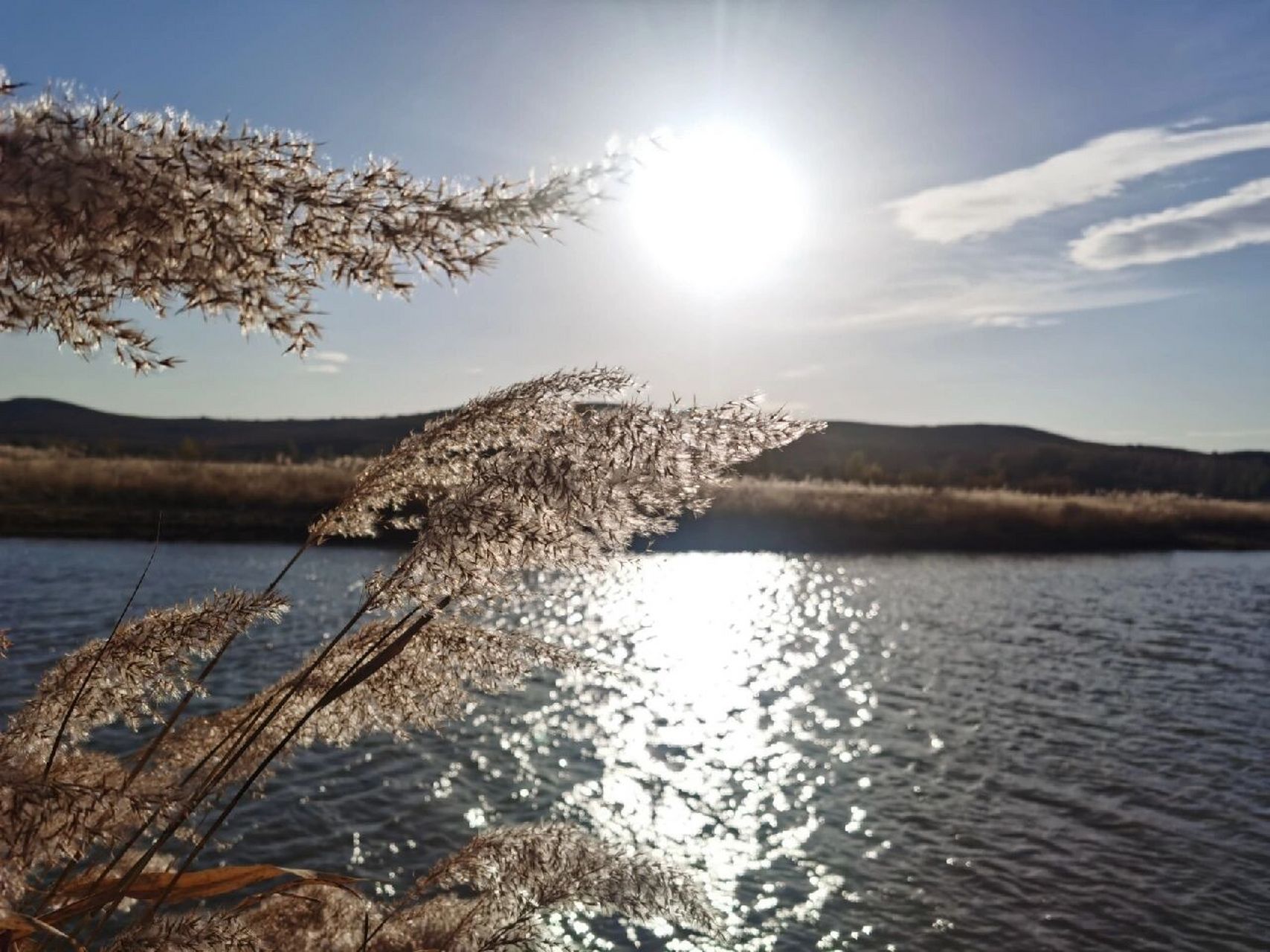 往事随风 往事如风,带走了如花的青春,吹散了满天的浮云.