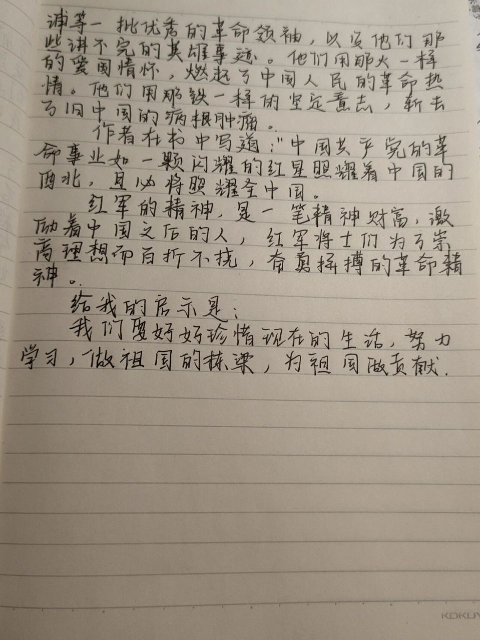 读后感100字手写图片