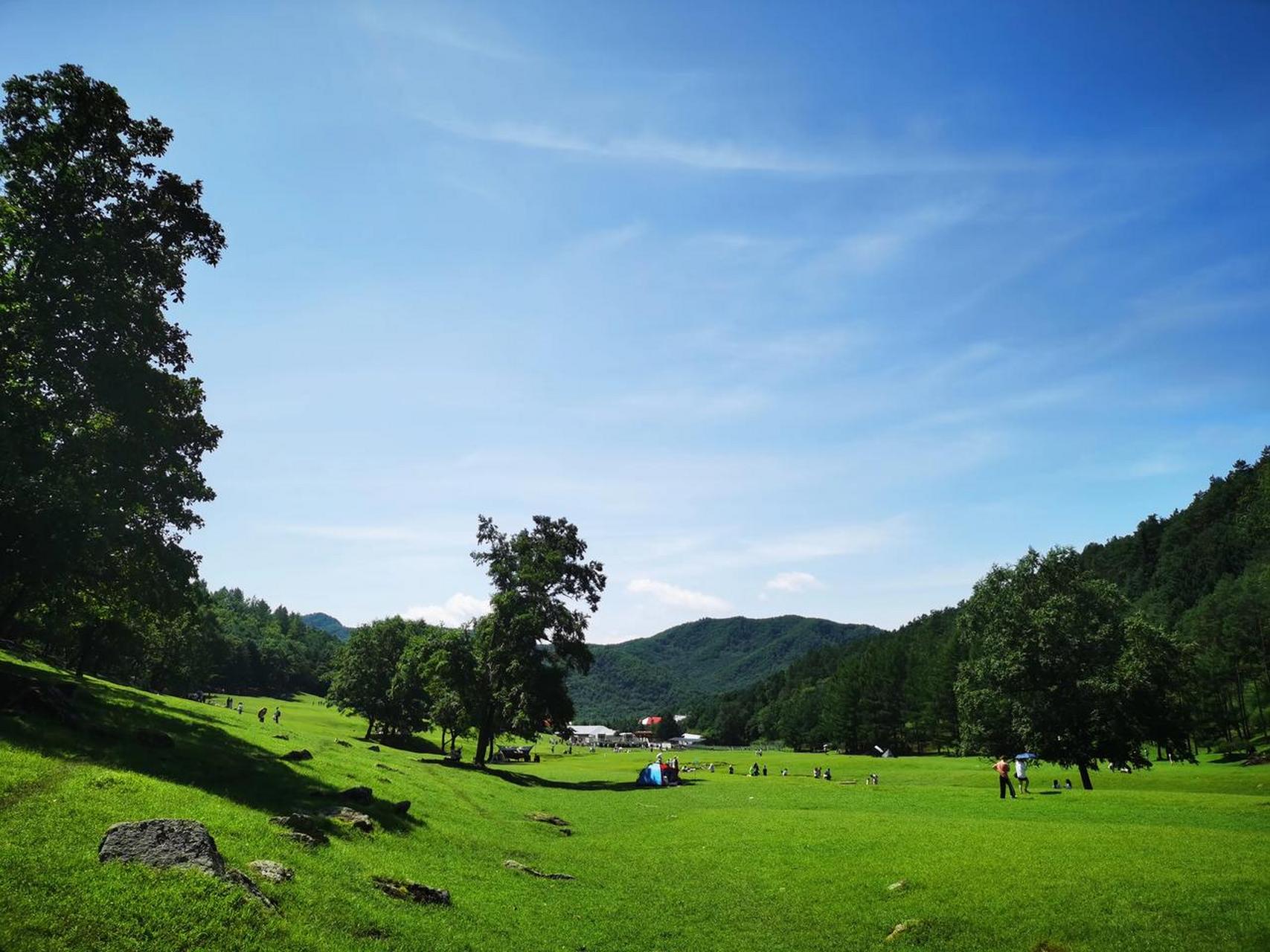 伊春金山鹿苑,自然环境还是保护的不错.