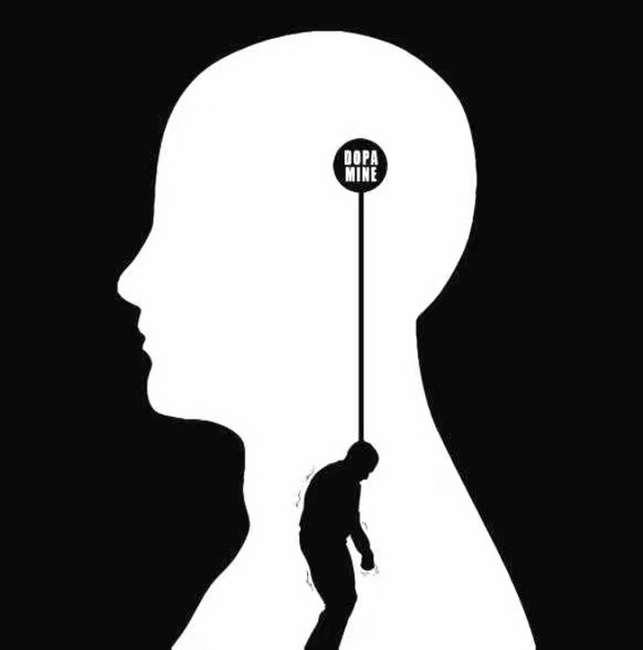 当我们谈及"命运"时,很多人会将其视为一种难以捉摸的,预先设定的轨迹