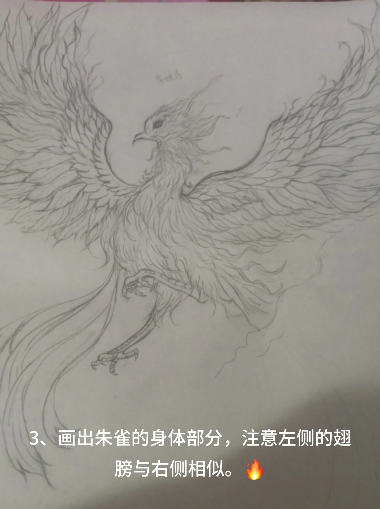 朱雀的画法铅笔画 朱雀是一种神兽