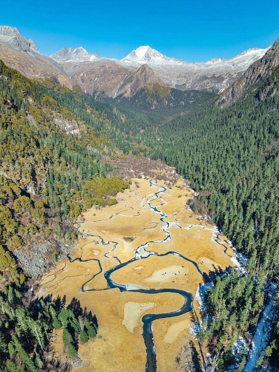 最近看到有不少人到九龙县上团乡大草坝湿地进行露营,但其中一些游客
