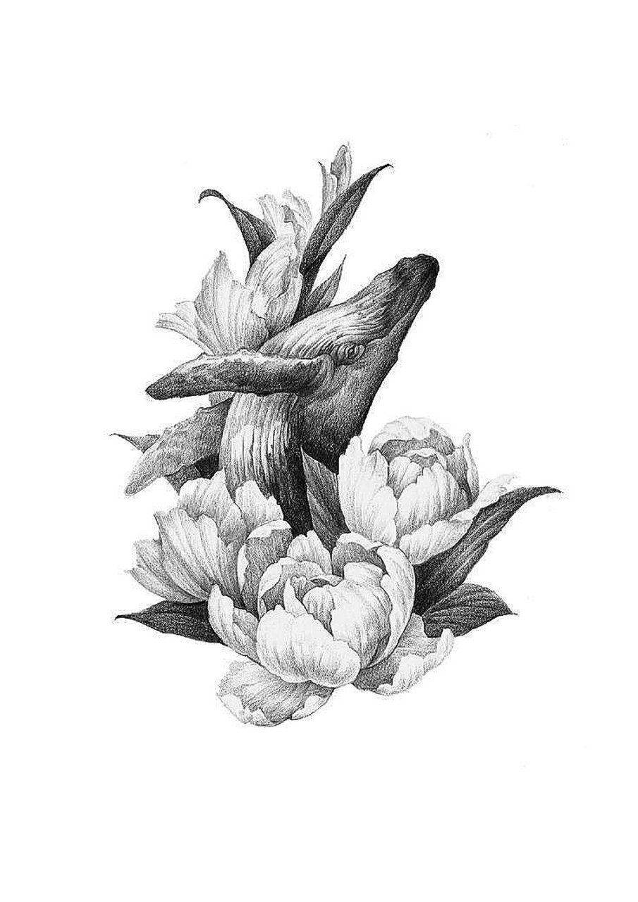 95海蓝时见鲸,梦醒时见你|鲸鱼纹身手稿参考 鲸鱼纹身手稿整理|喜欢