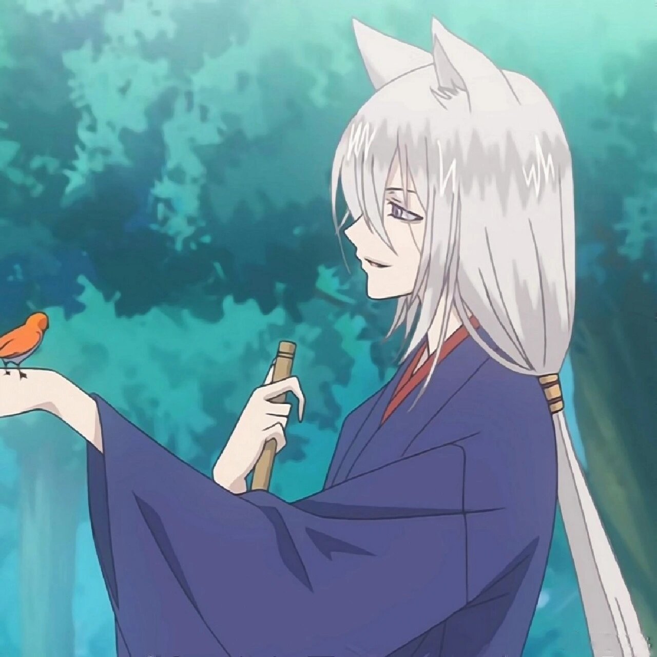 巴卫,帅气的狐狸啊!