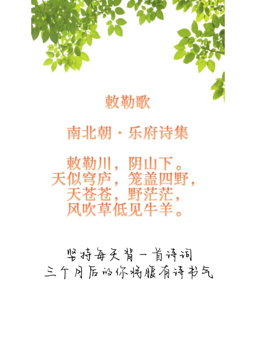 每日诗词24 | 94乐府诗集《敕勒歌》