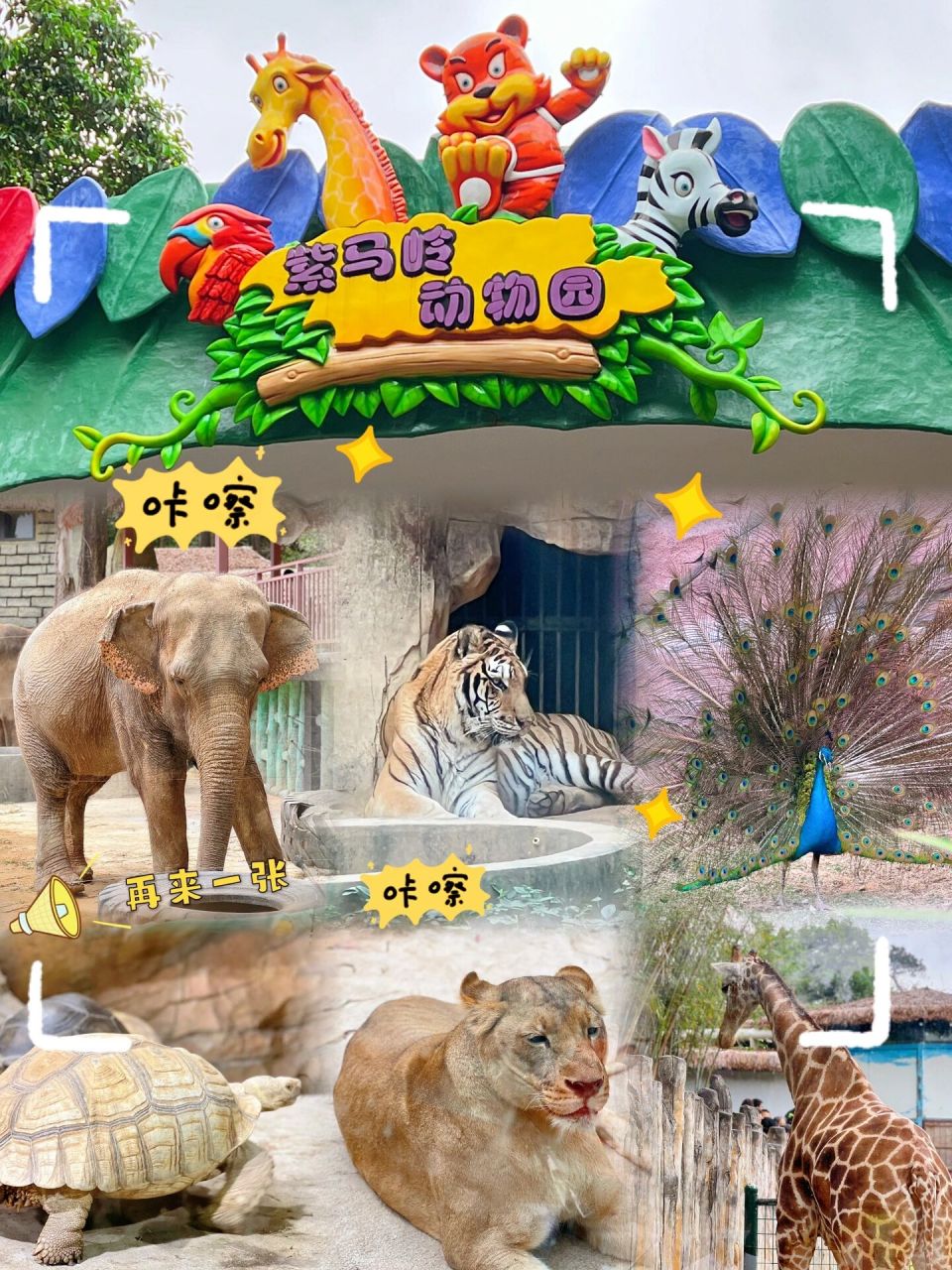 紫马岭动物园电话图片