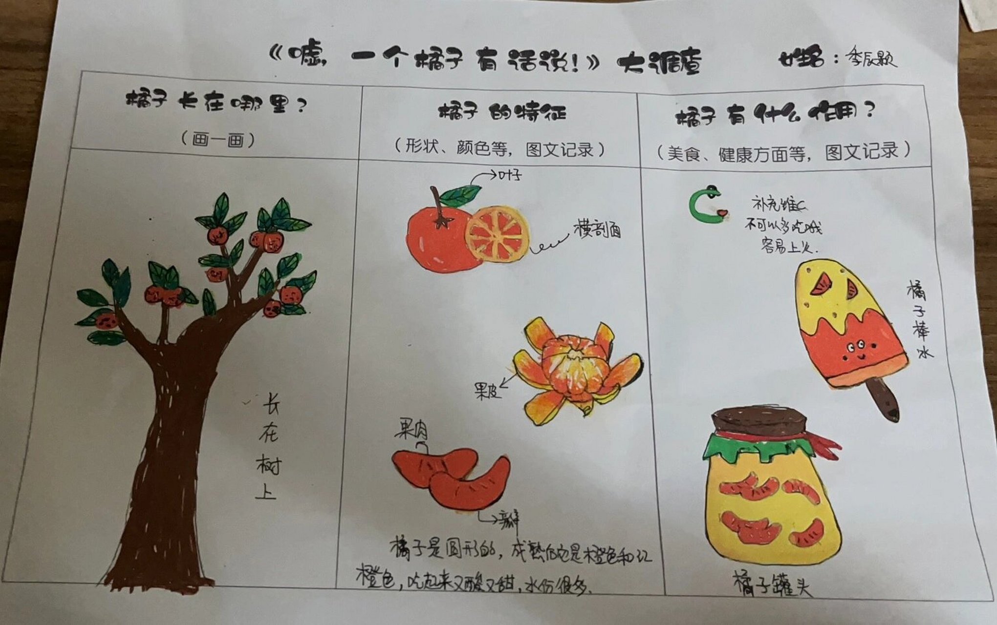 幼儿园小班水果调查表图片