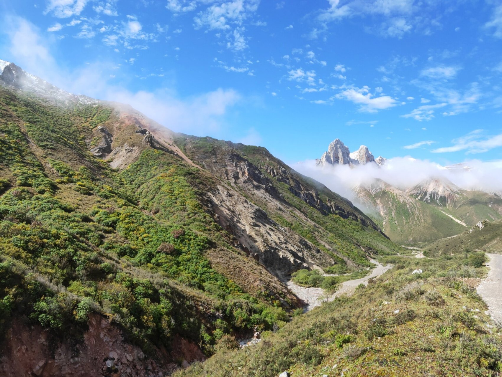 今日份 扎尕那石林景点
