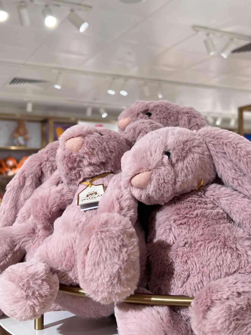 jellycat 2023金标限定小兔上新selfridge 还有大号哦!