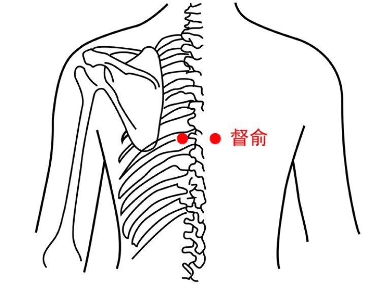 每日一穴～督俞穴 理气止痛