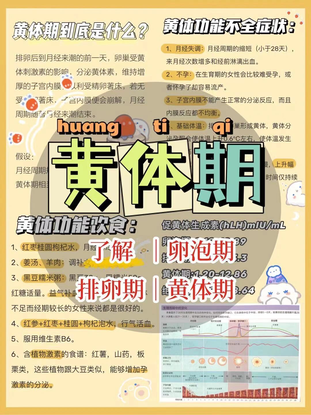 黄体期一般是指月经周期的第15到第28天内,一般历时14天,此时卵巢内