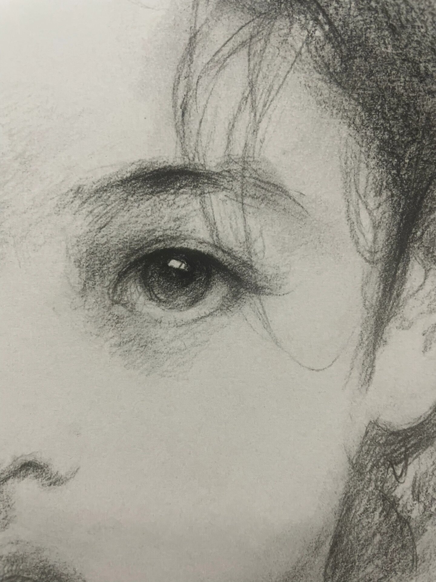 艾轩老师的素描作品真是太牛了!可以临摹呀