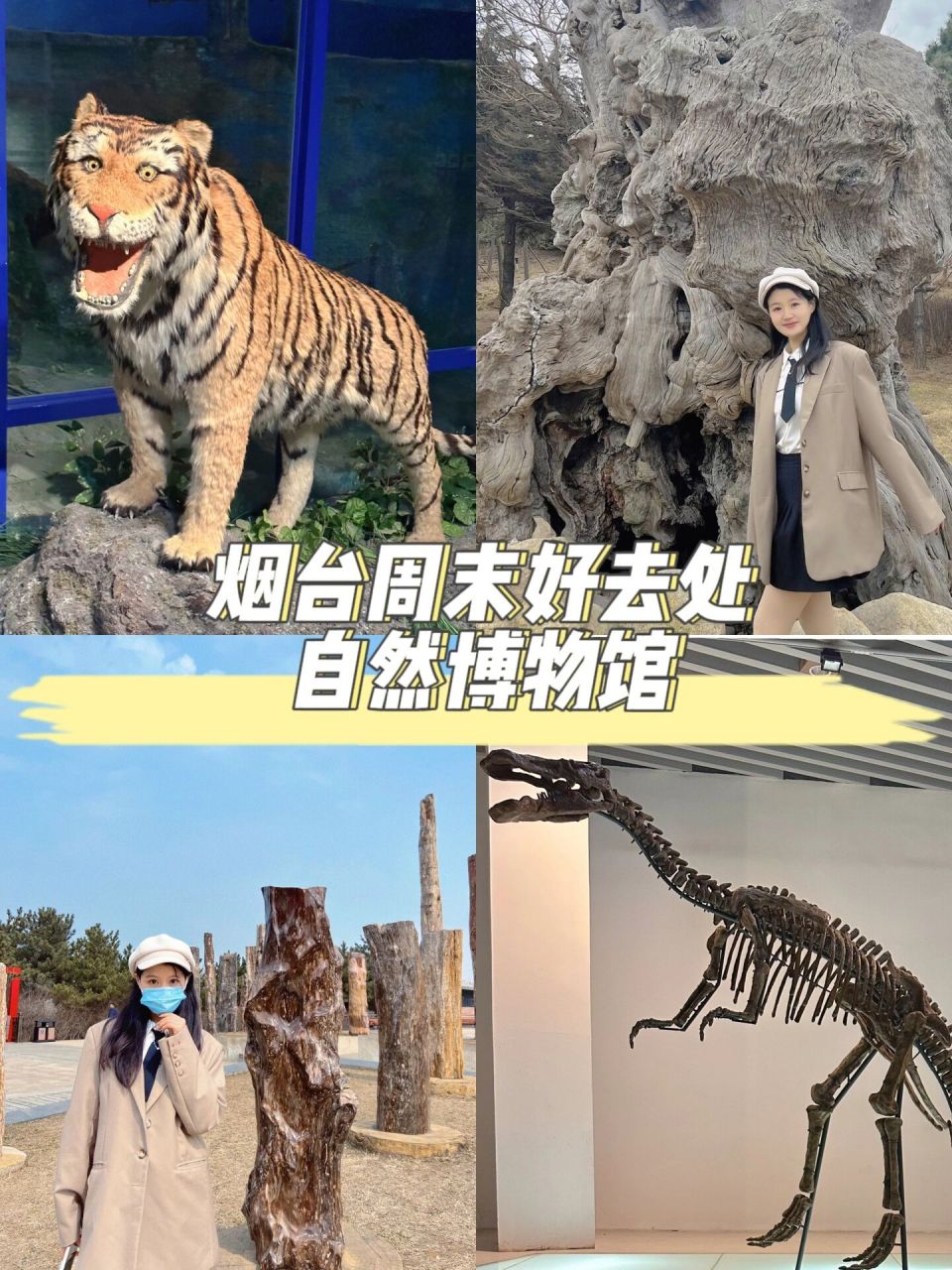 烟台周末好去处|烟台自然博物馆也太好玩啦 周末来烟台自然博物馆打卡
