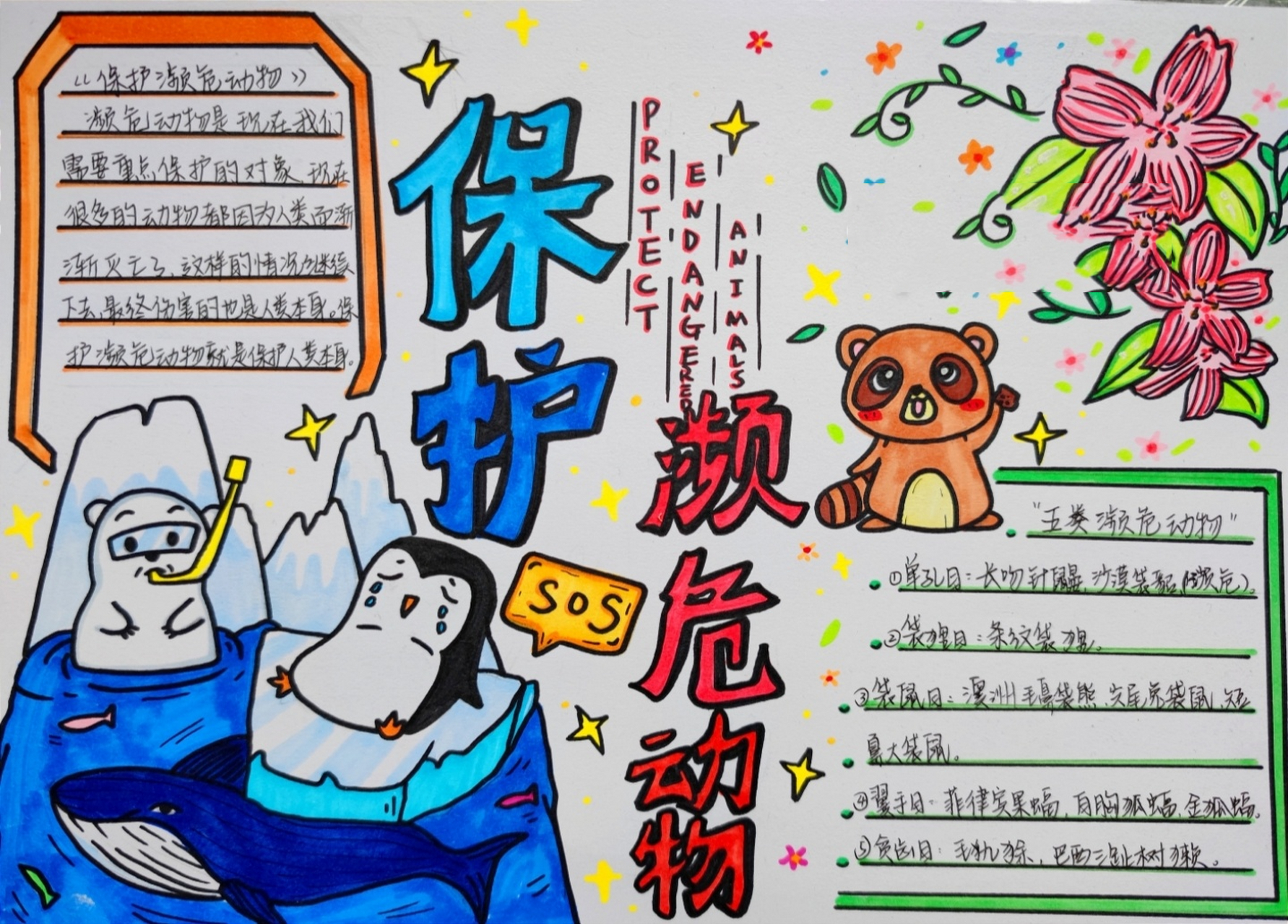 保护濒危动物手抄报来咯 好久不见～太忙太忙啦 ～保护濒危动物手抄报