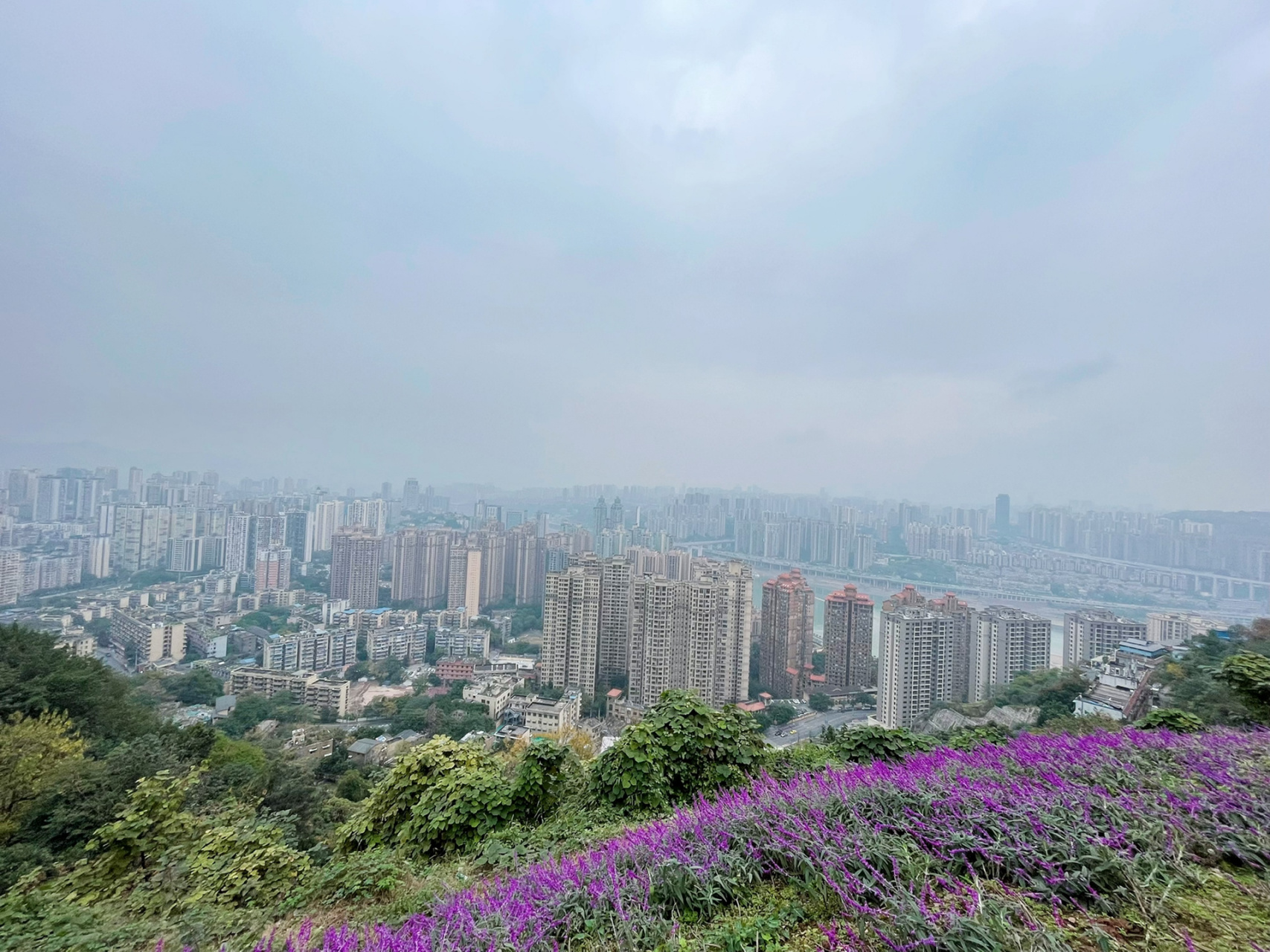 重庆主城爬山:平顶山公园 人少 风景好 解封第二天,约了老公出去爬山