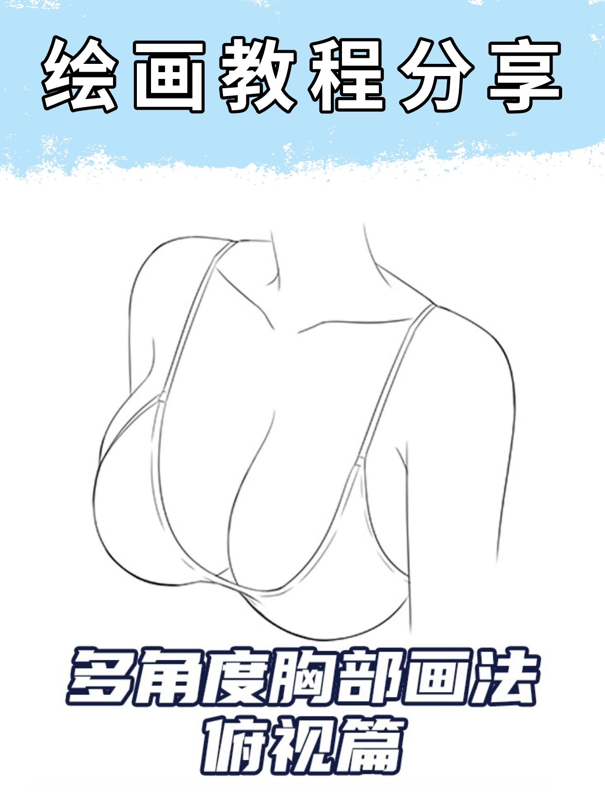零基础也能学会的胸部画法