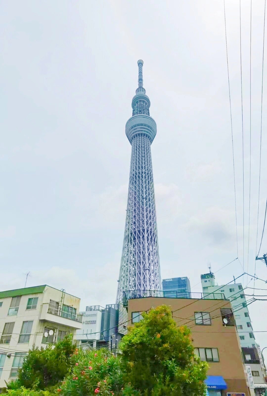 日本晴空塔简笔画图片