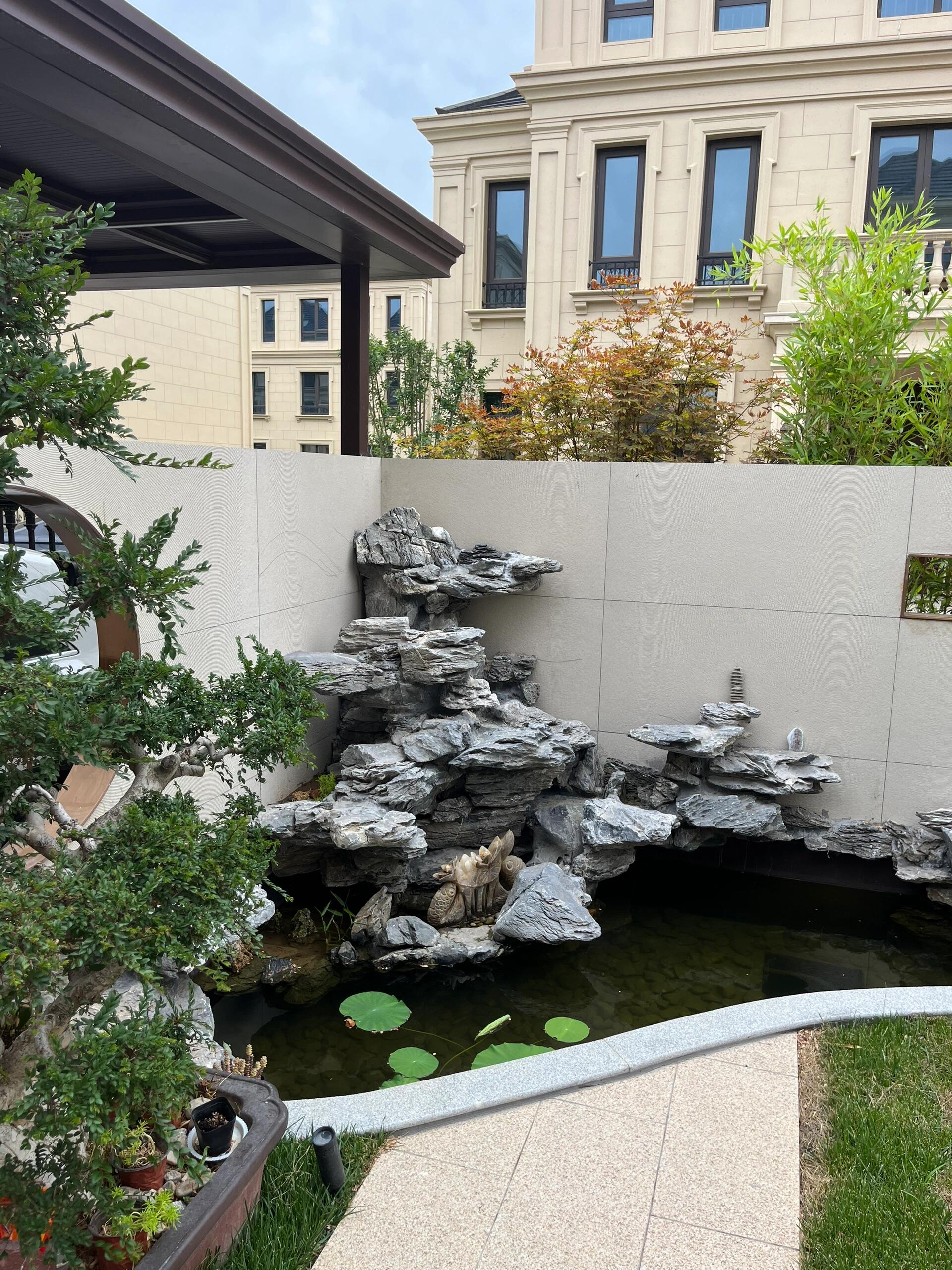 一眼就心动的庭院假山鱼池,植物造景好美