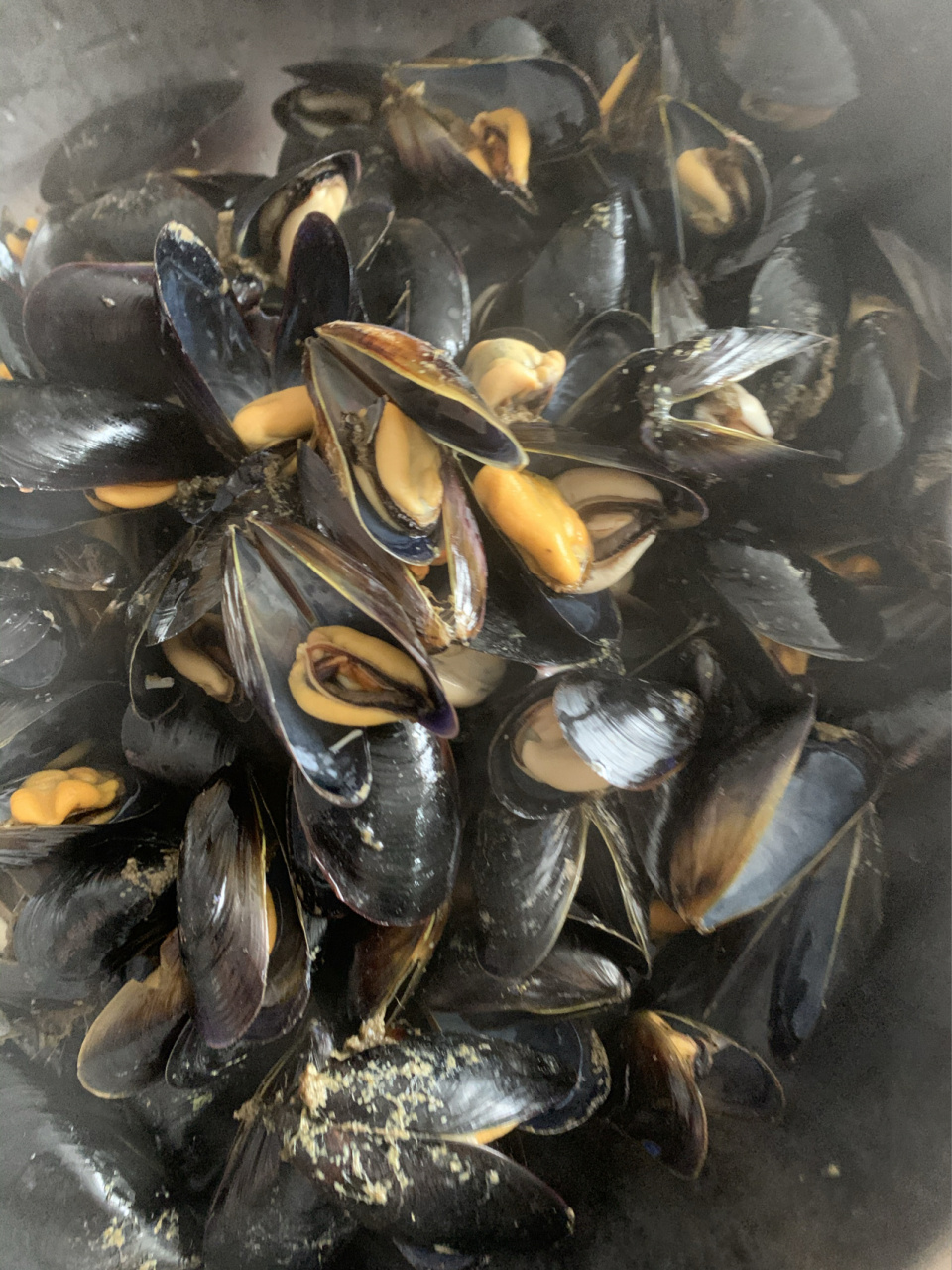 青岛小海鲜 海红 它名字叫海红.