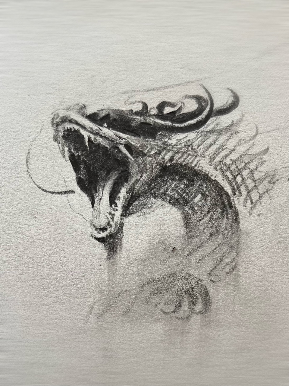 画龙化龙   画一组霸气的神龙94,特别难画,不能寥寥几笔了,这次把之