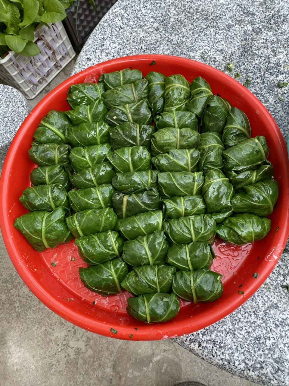 豬婆菜包 豬婆菜包 廣東人叫豬婆菜,聽老人家說以前是餵豬的菜,葉子