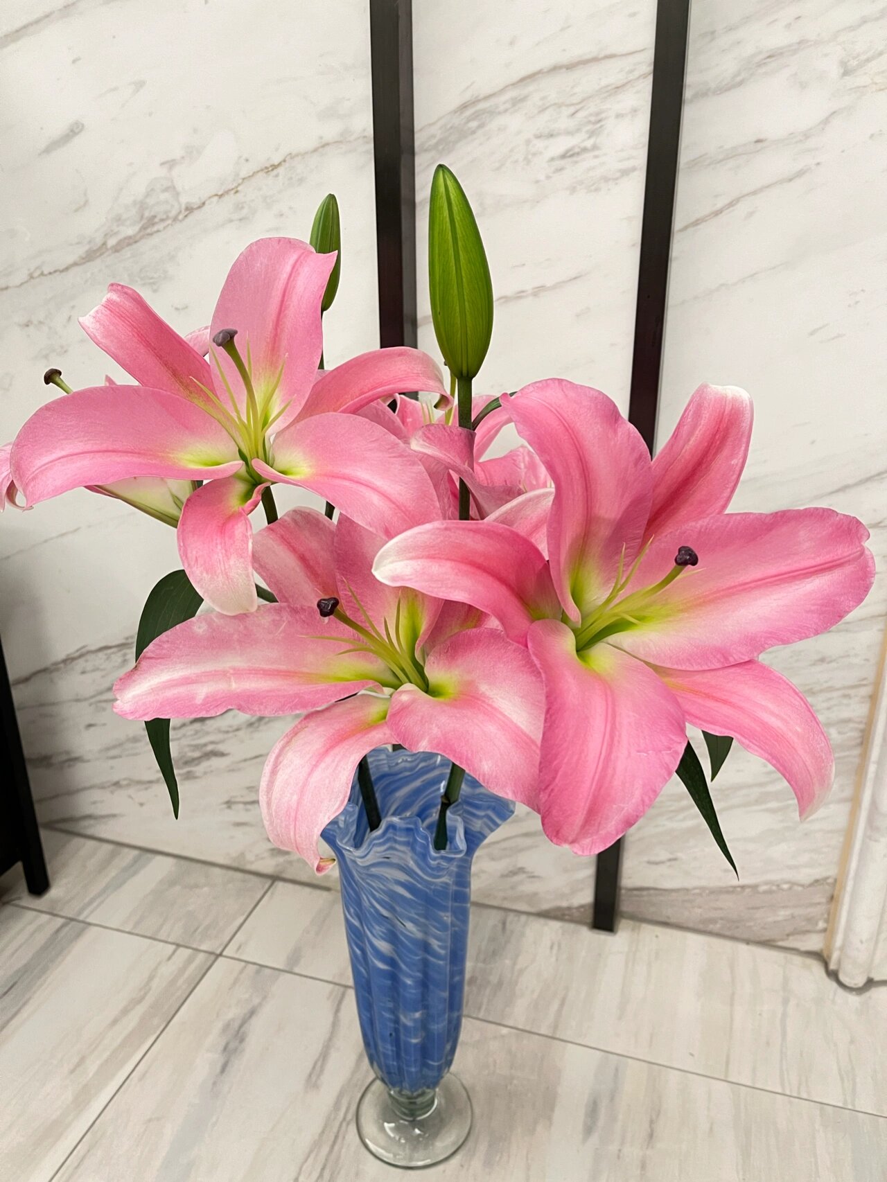 粉色百合多头麦当娜香水百合