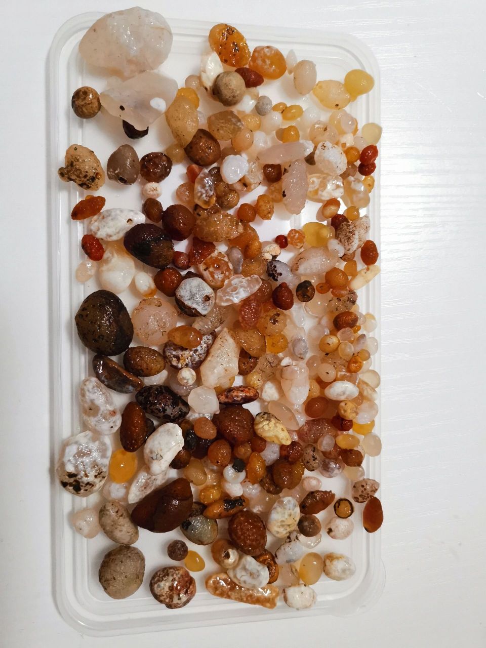 五一内蒙出行玛瑙篇 五一假期,和儿子两人一起走了乌兰哈达火山,大