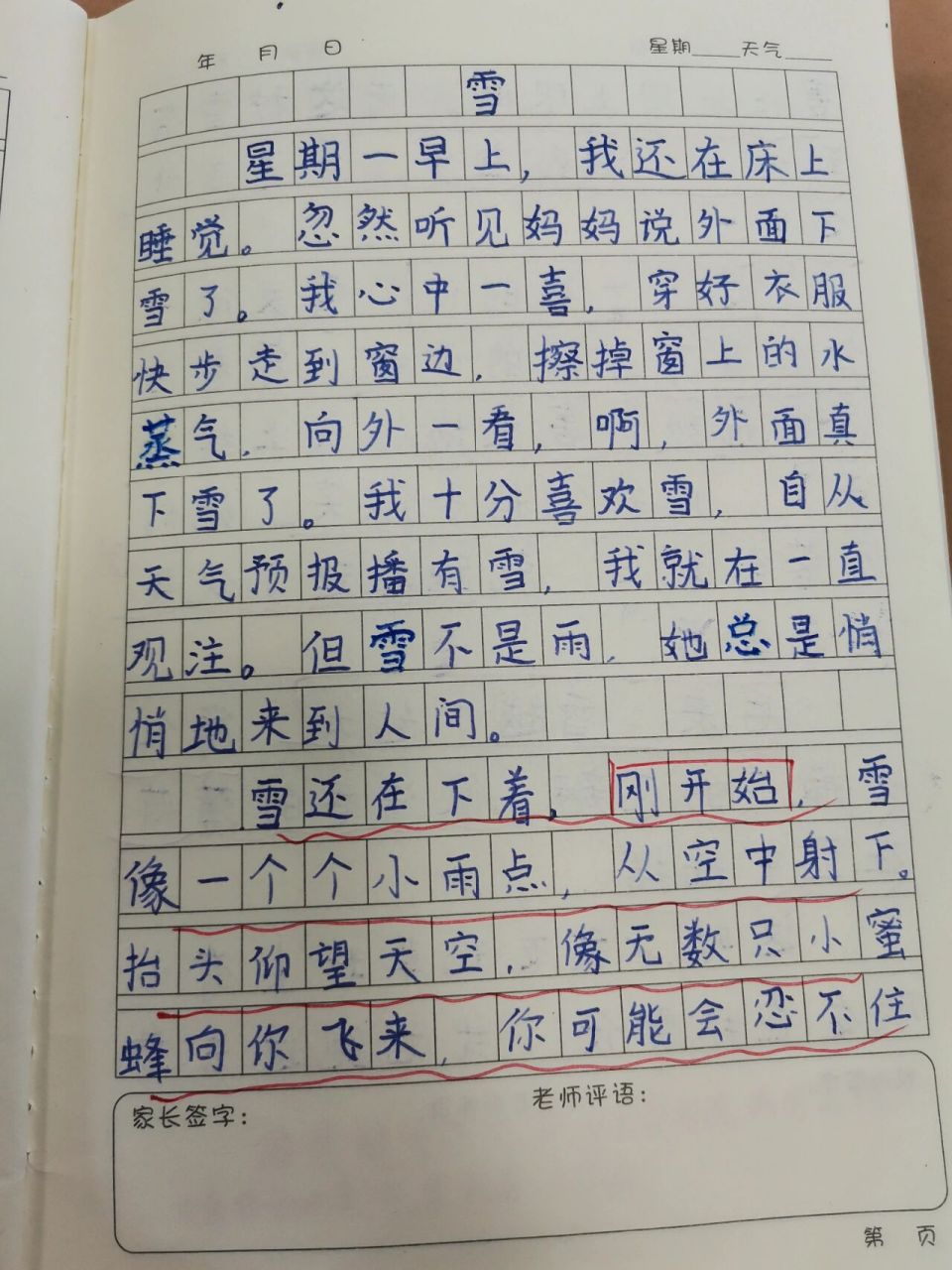 四年级作文—《雪》