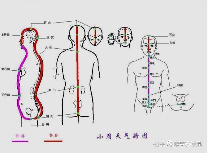 大周天真气运行图图片