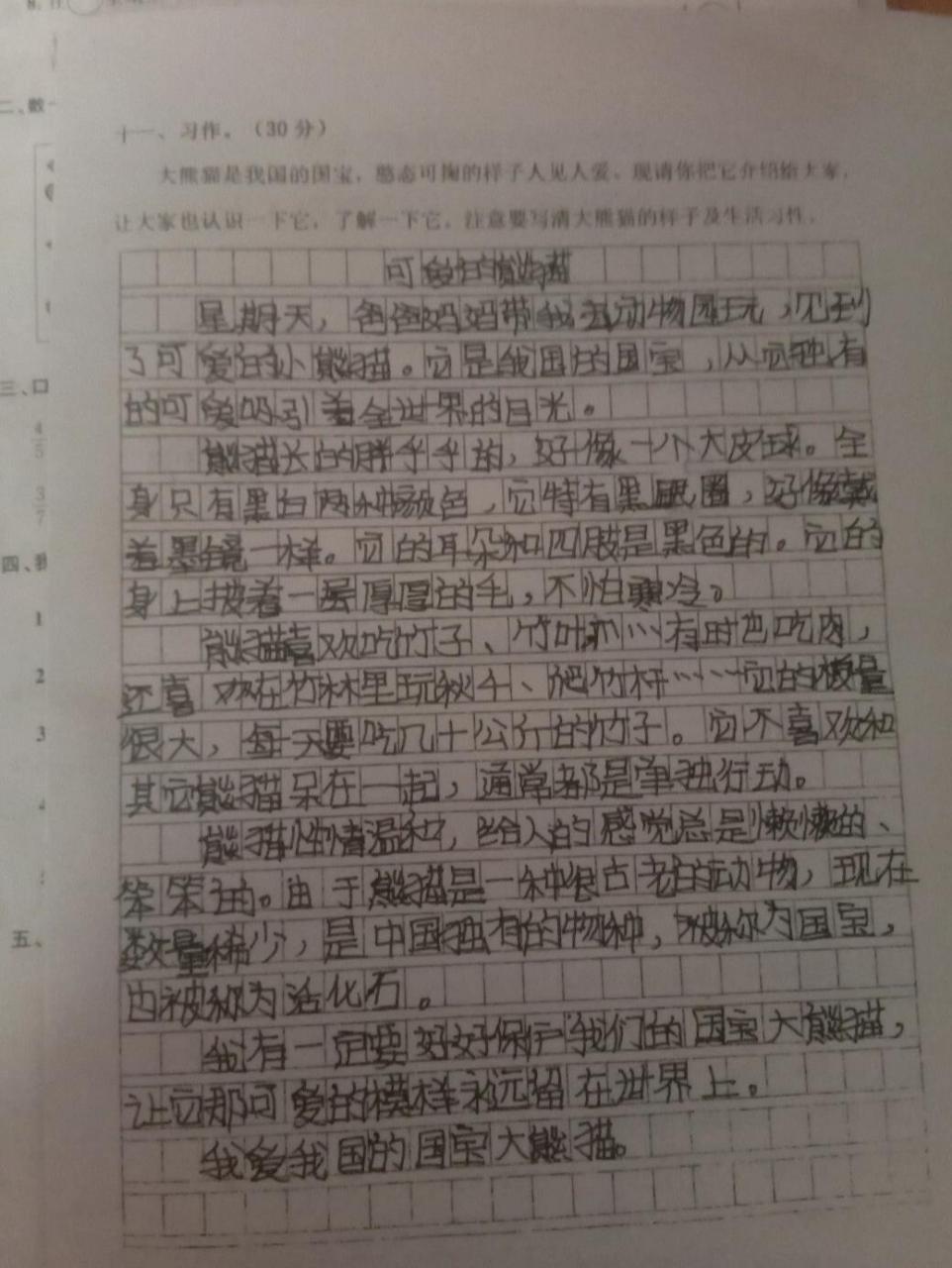 可爱的大熊猫150字图片