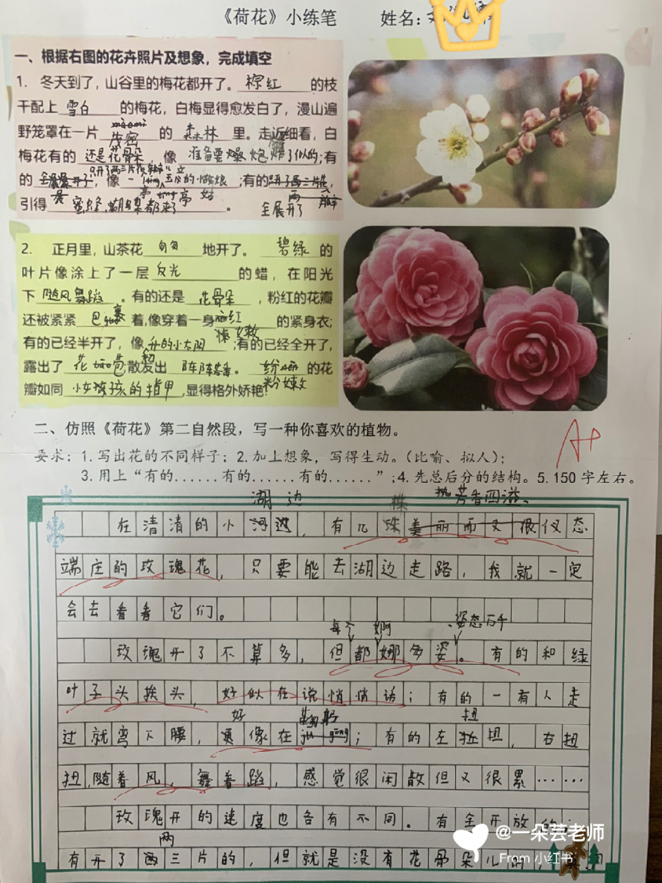 【小练笔《荷花》仿写 小练笔 三年级下册《荷花》仿写练习《荷花