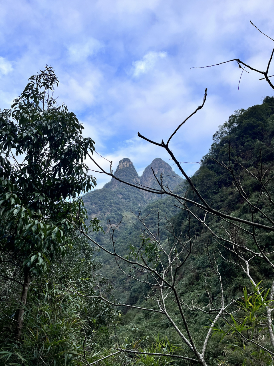 平阳顺溪景区风景太美了 大年初一去爬山啦 天气真的超好的 很多瀑布