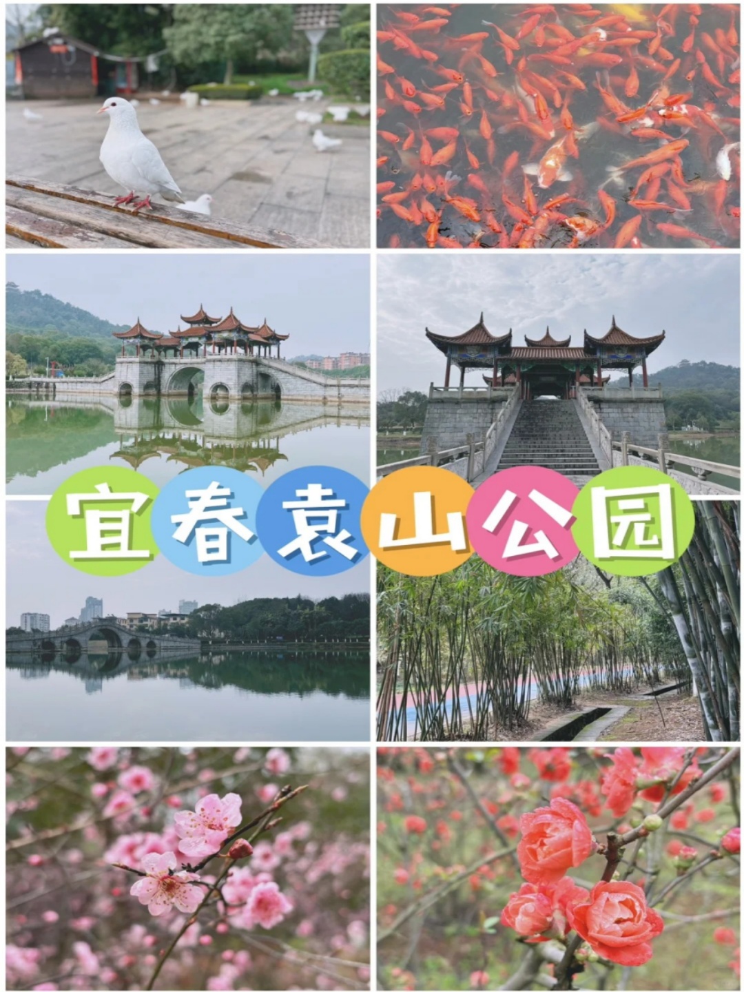 宜春旅游必去十大景点