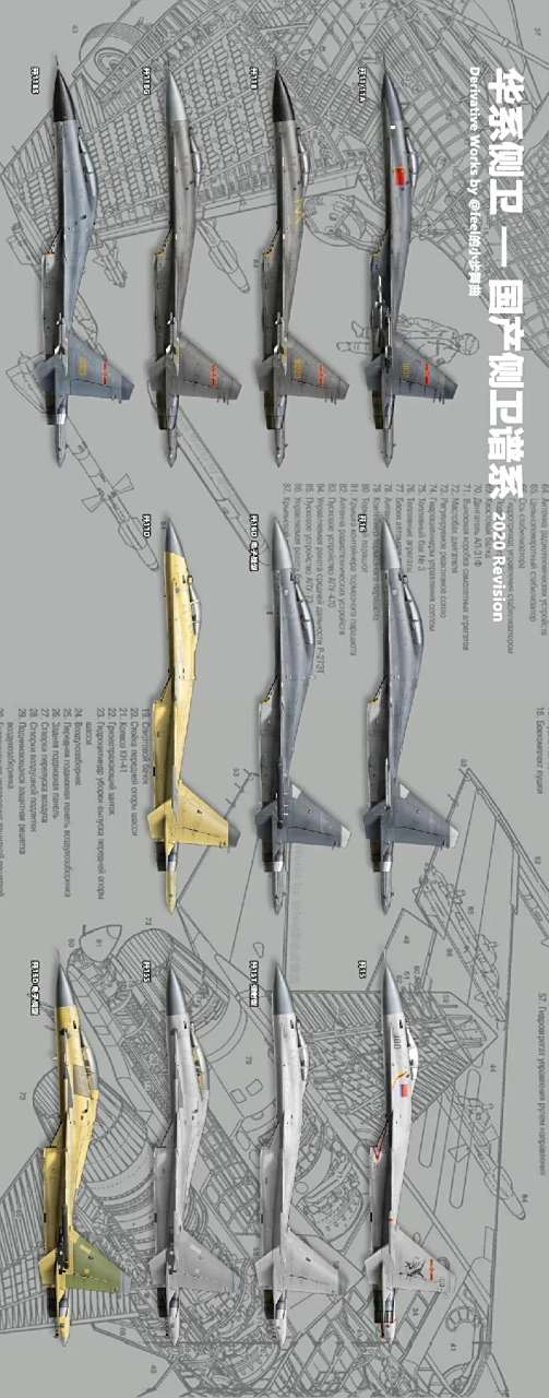 中国国产侧卫家族  图源网络