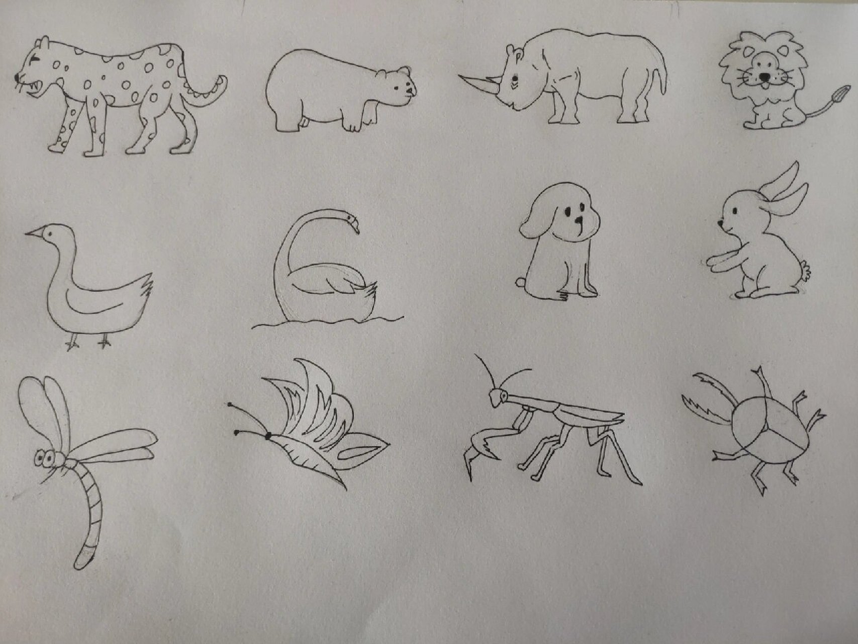 猛兽家禽昆虫简笔画 学前教育美术作业95 动物简笔画 无滤镜  带色