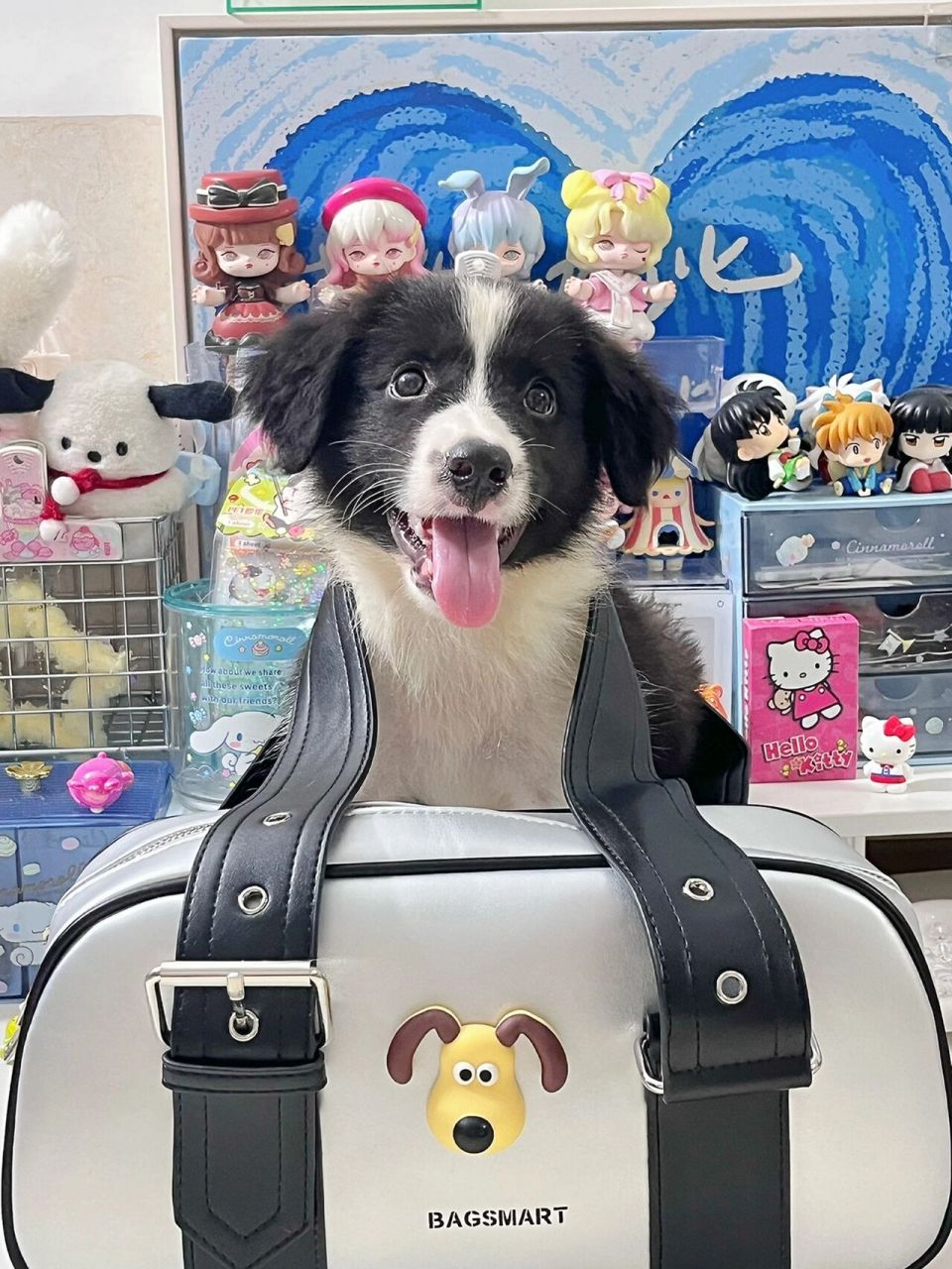 蒸汽包# #辣妹包包