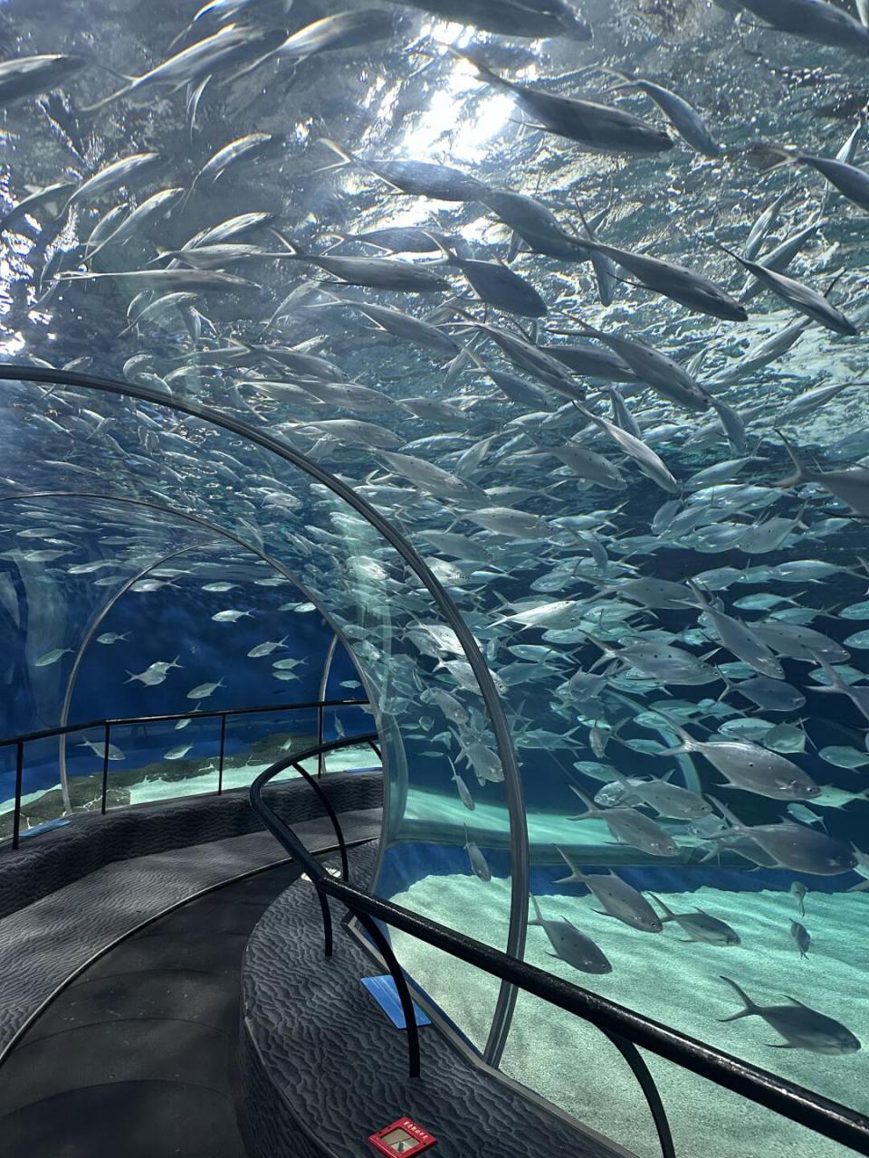 圣彼得堡海洋水族馆图片