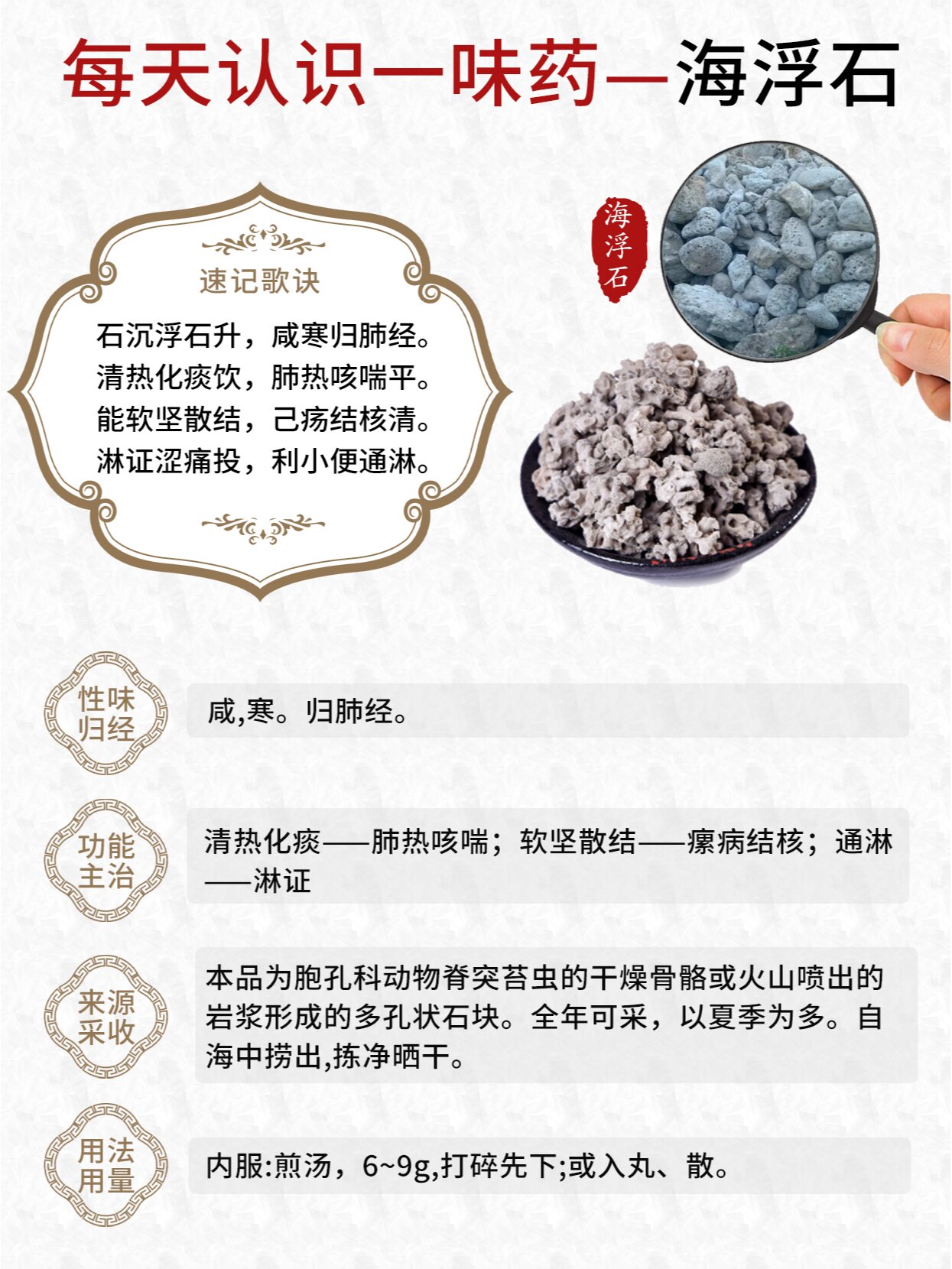 每天认识一味药~海浮石