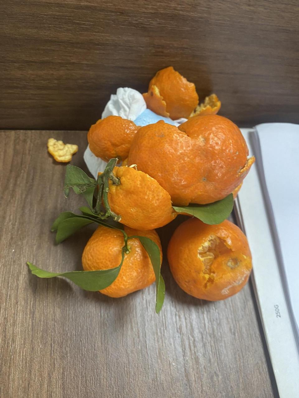 烂橘橘子 金果一开好运全开 给生活加点甜每天都快乐一点