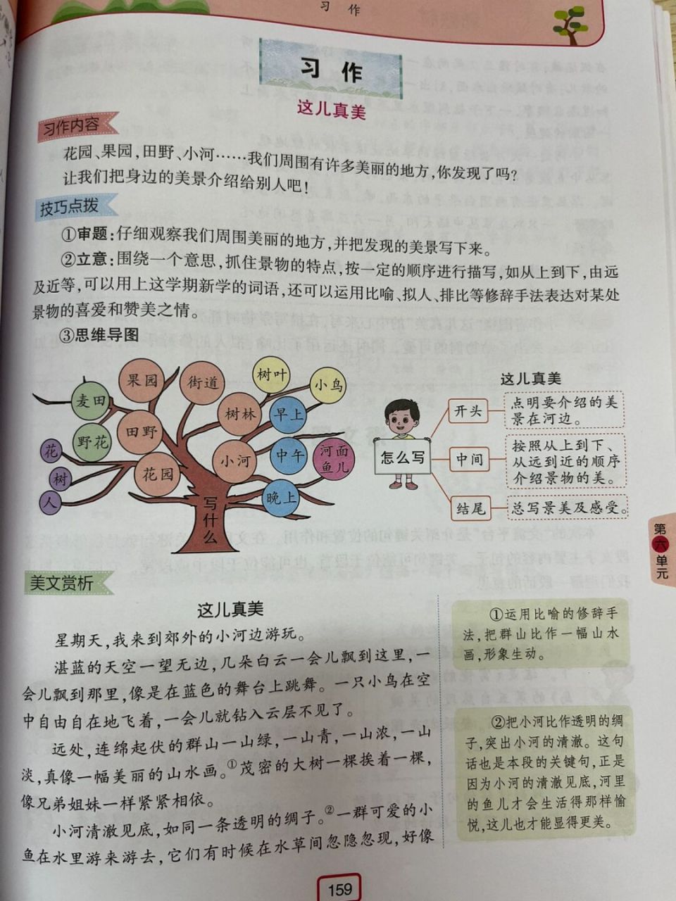 部编版语文三上习作《这儿真美》备课笔记94 #三年级语文# #语文