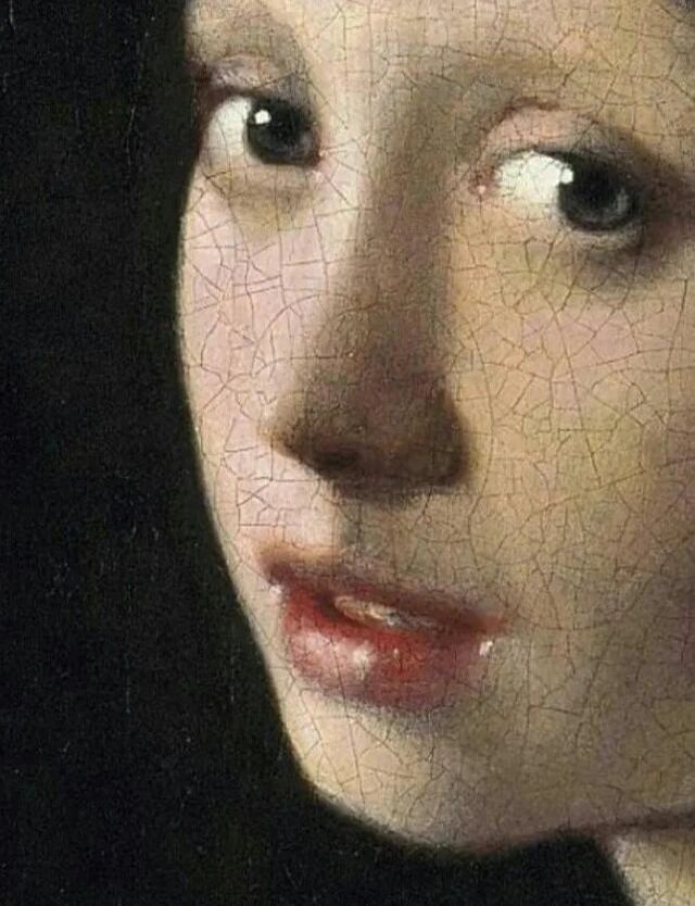 每日一画 | 名画鉴赏【戴珍珠耳环的少女