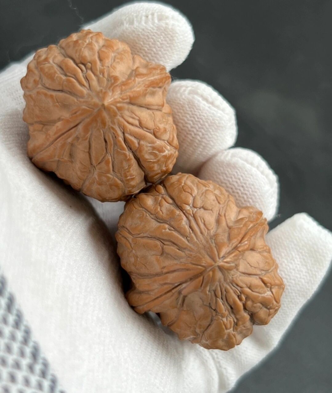 全品龟甲纹文玩核桃小众果子精配对!