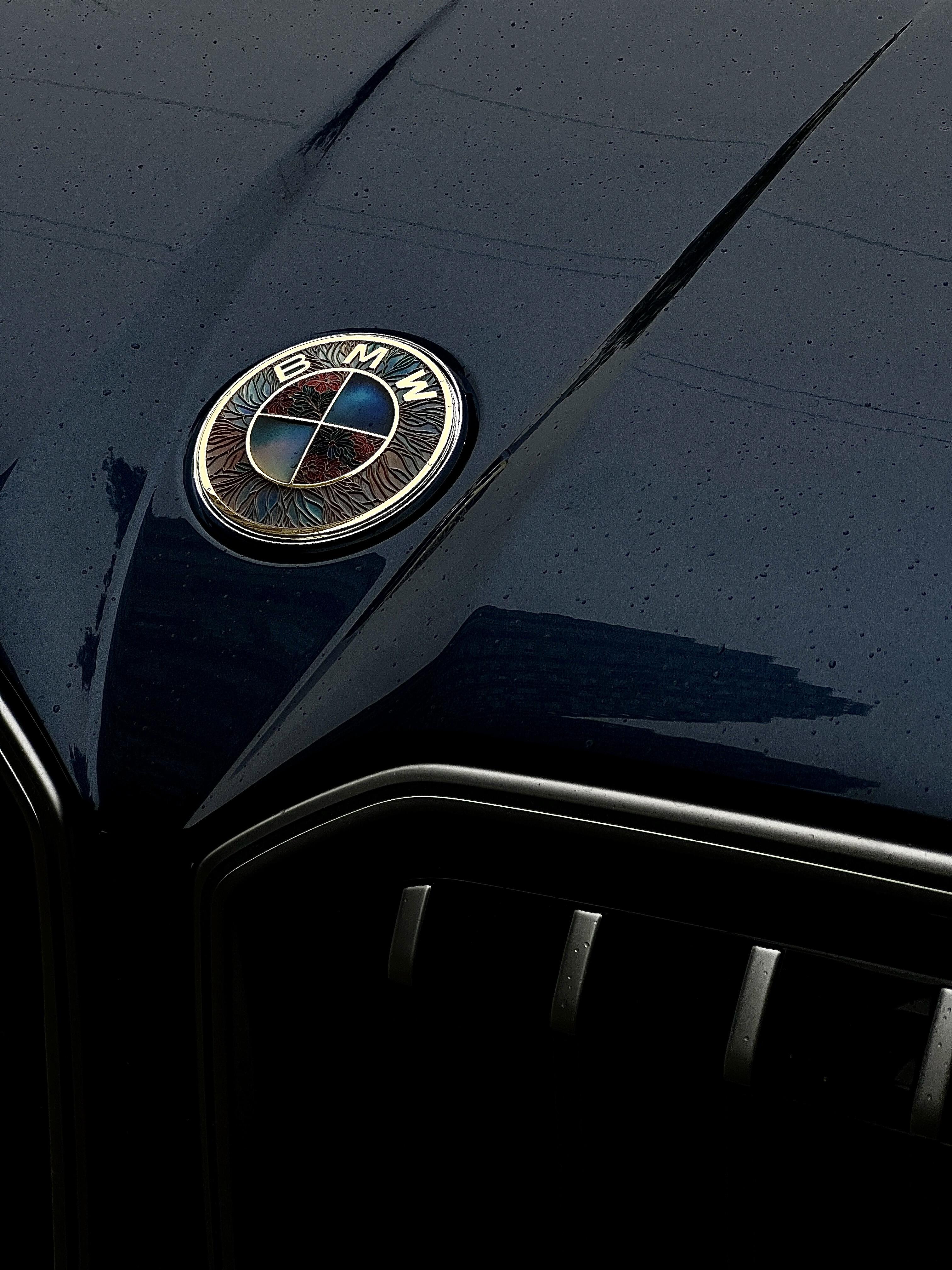 bmw x3珐琅车标