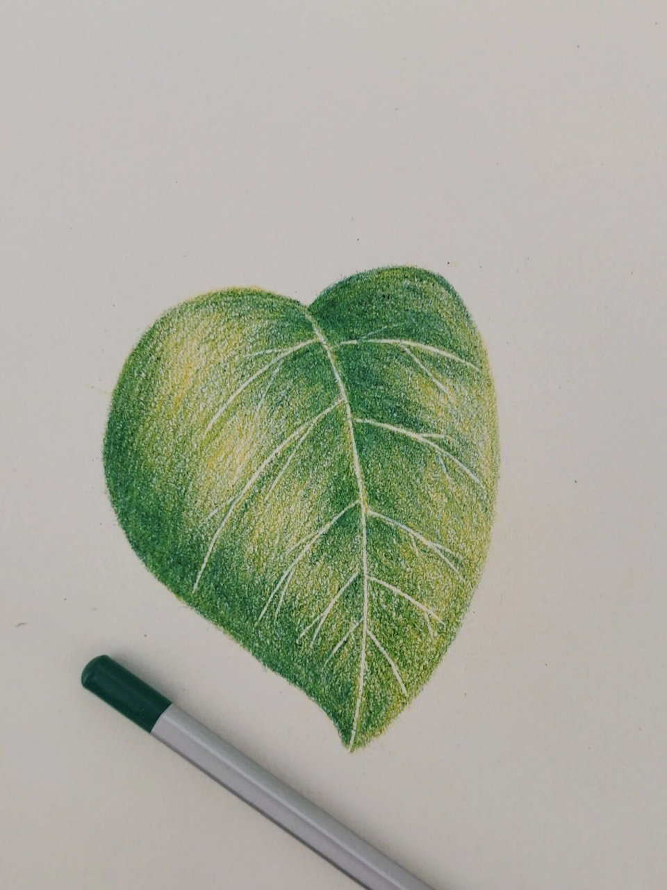 彩铅手绘 树叶水滴(带步骤) 今儿练习压痕和水滴91的画法 	 #画画