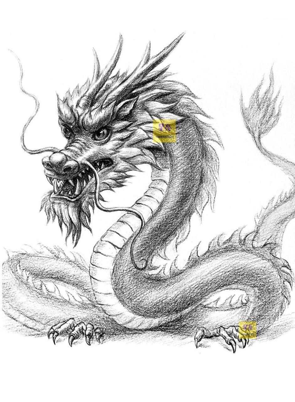 龙年绘画龙年画龙素描龙绘画步骤 龙年主题绘画龙年绘画龙年素描龙年