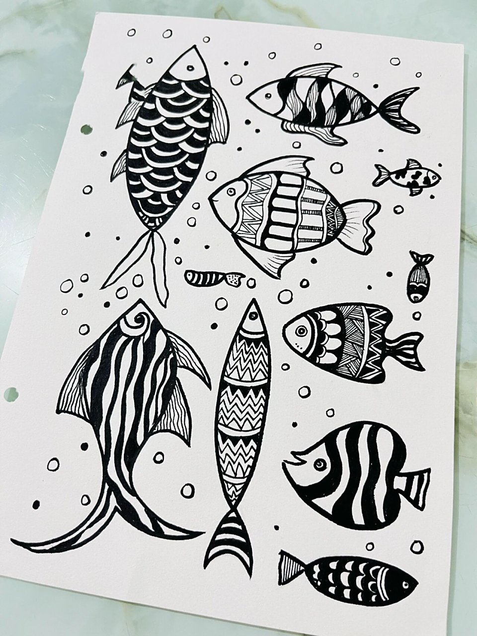 简笔画「鱼」第二波~959595959595