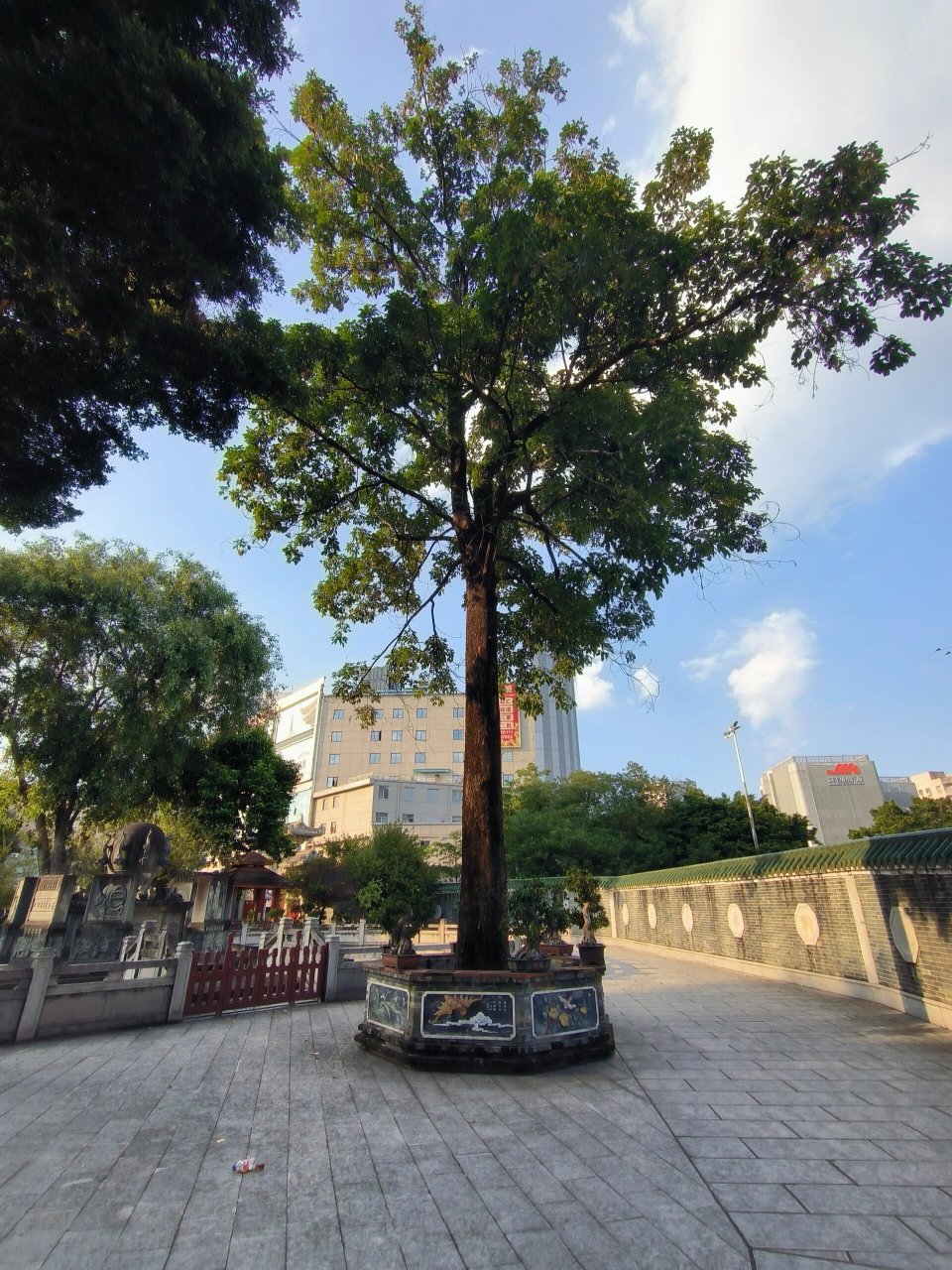 广州闹市中的道观-纯阳观     纯阳观位于海珠区五凤村漱珠岗,清代