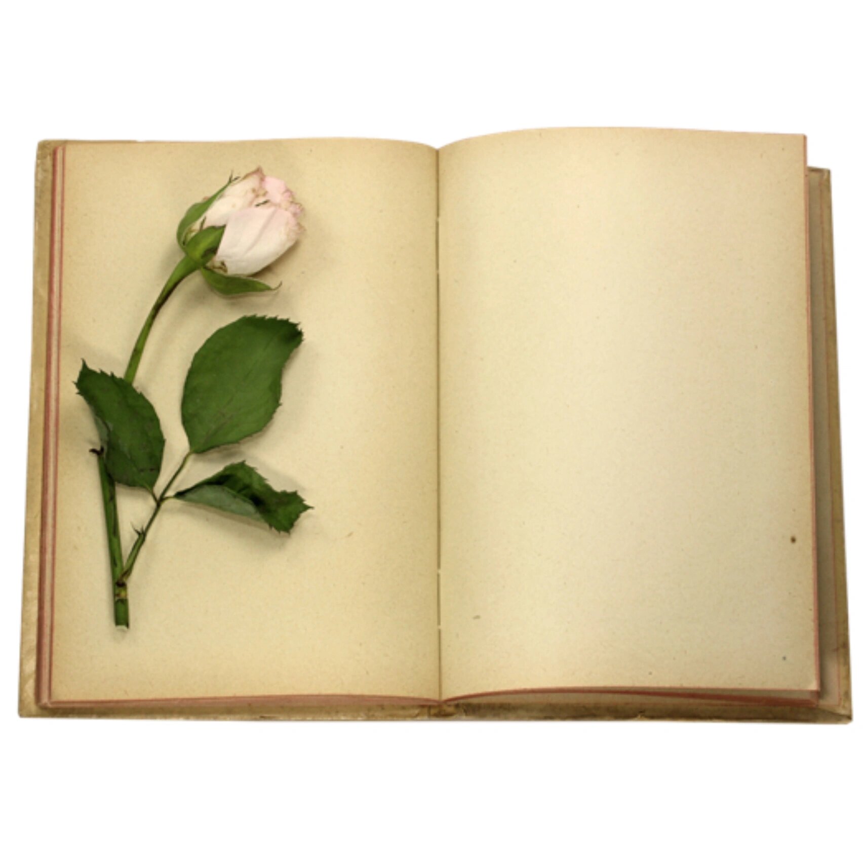 书单素材 图片空白