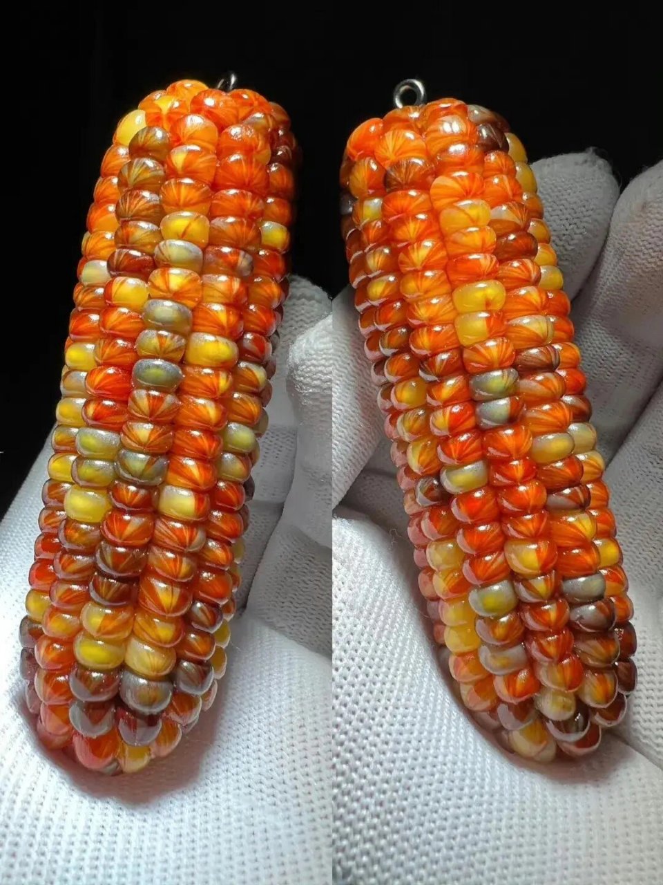 七彩玉米,有多少人见过真实的